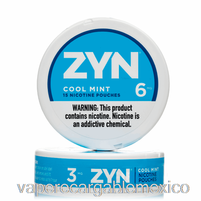Bolsas De Nicotina Vape Recargables Zyn - Menta Fresca 3 Mg (paquete De 5)